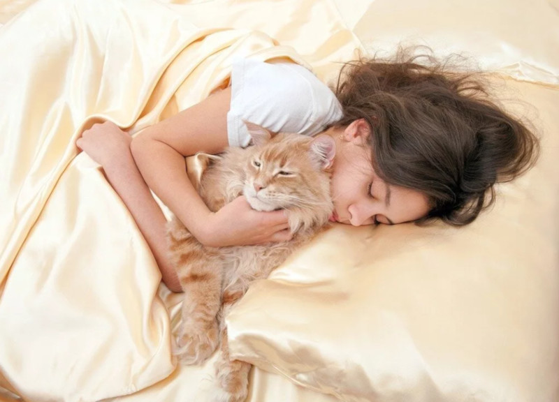 Врач Сергей Агапкин: спать рядом с кошкой нельзя. медицина, здоровье, врач, кошки, сон