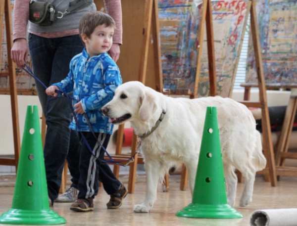 Онищенко предложил создать нормативную базу по использованию собак в реабилитации пациентов. медицина, здоровье, врач, собака, канистерапия