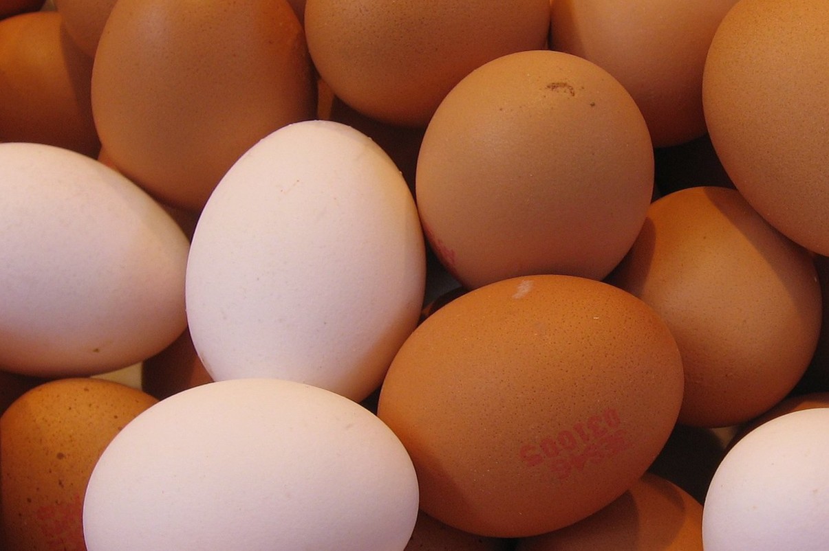 Эксперты Роскачества рассказали о том, сколько можно хранить вареные яйца