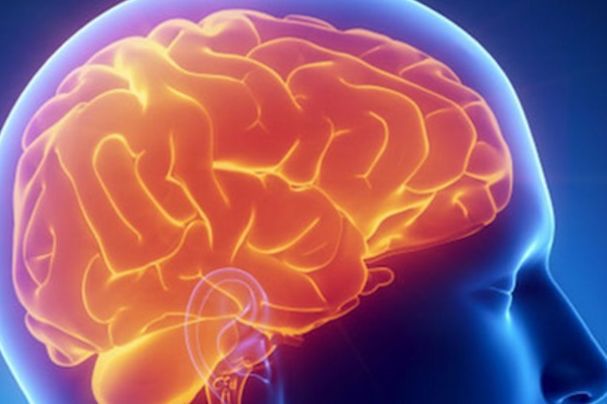 Ученые: узнавали про память, а  выявили Альцгеймера. мозг