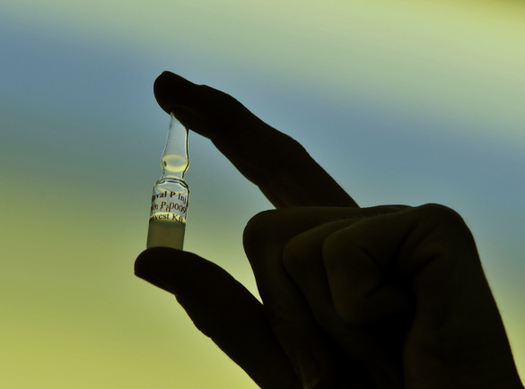 Канада передаст в Африку экспериментальную вакцину против вируса Эбола. Африка получит экспериментальную вакцину против вируса Эбола