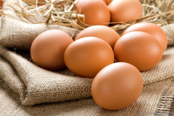 Куриные яйца станут основой лекарств нового поколения. 17190.jpeg