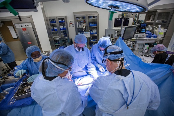 Трансплантация матки при помощи робота привела к зачатию ребенка. 17207.jpeg