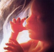 Право на аборт или право на жизнь?. 9211.jpeg