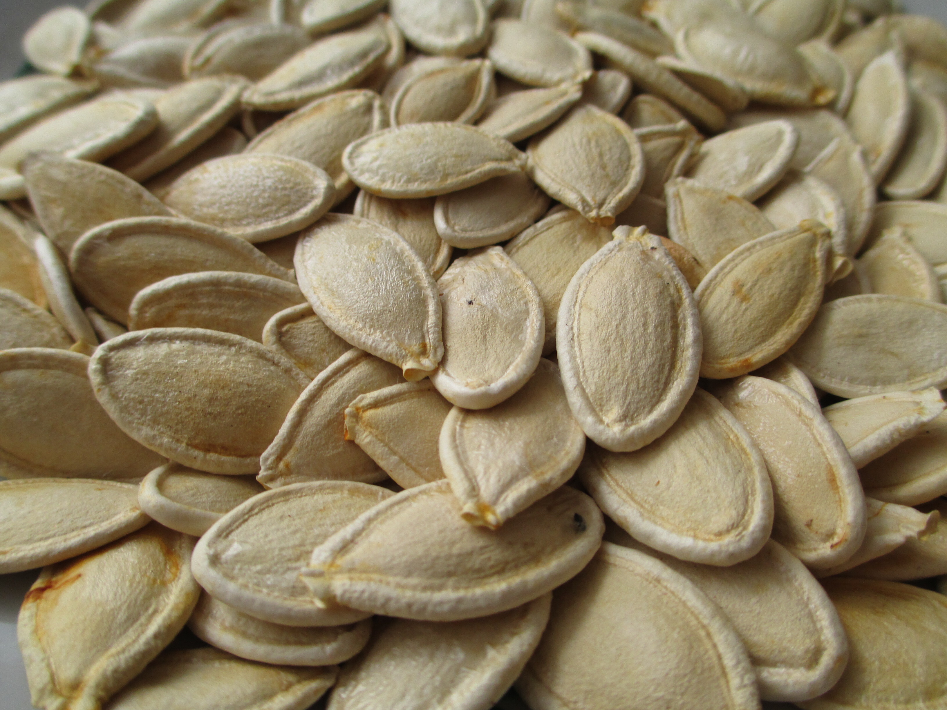 Симптомы простуды пройдут быстрее: нужно есть тыквенные семечки, креветки, яйца, чеддер