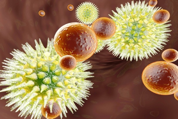 Бактерии носоглотки снижают шанс заразиться гриппом. 17235.jpeg