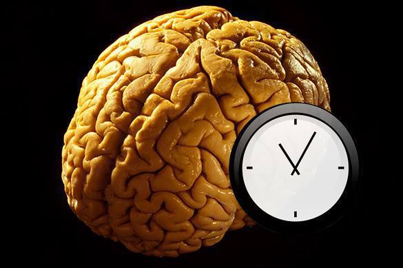 мозг, часы