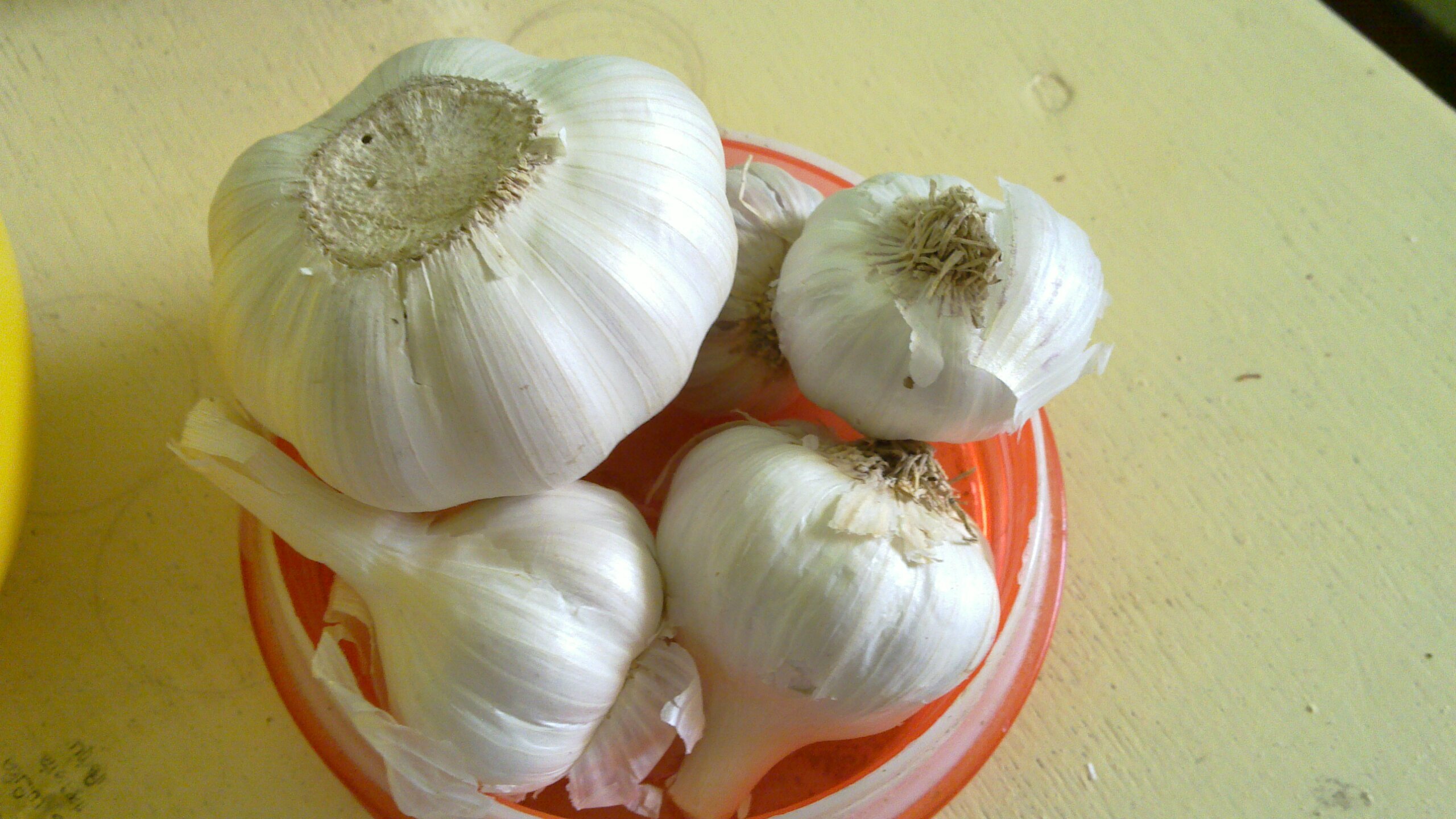 Простуда пройдет быстрее: в меню стоит добавить киви, яйца, тыкву, имбирь, лук и чеснок