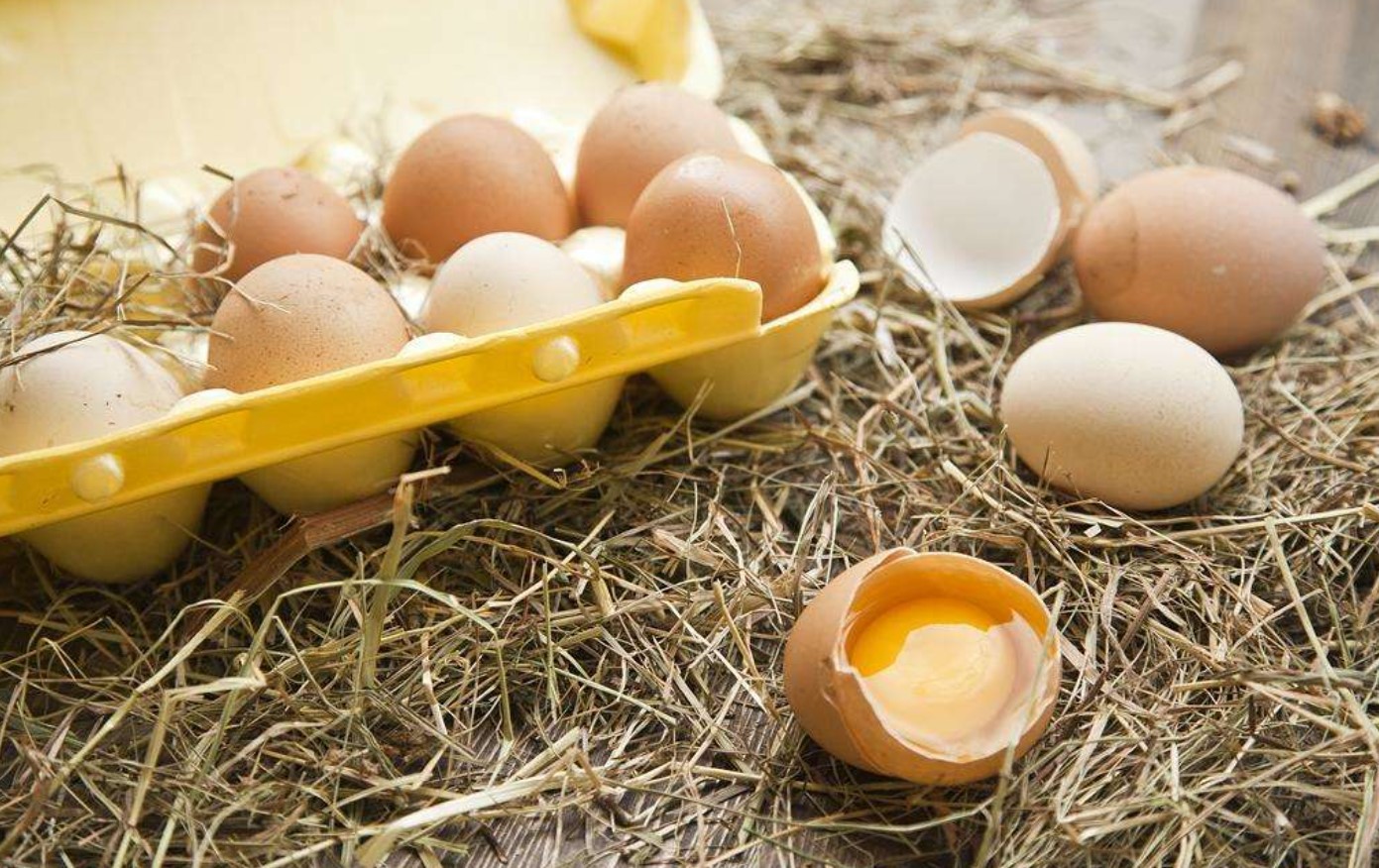 В чём опасность куриных яиц: Рассказал эндокринолог