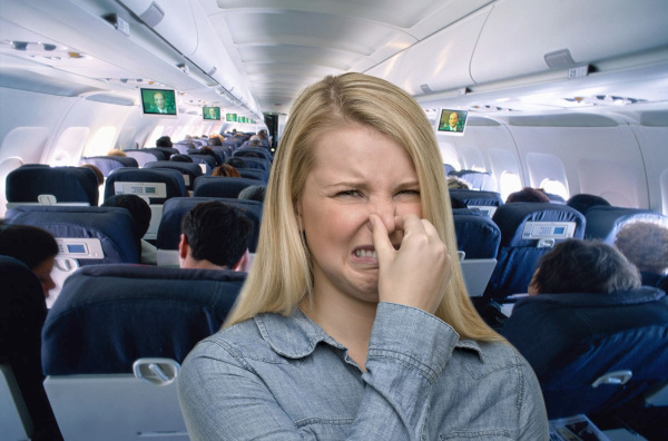 Эксперты: воздух в самолете может быть опасен для здоровья пассажиров. 17342.jpeg