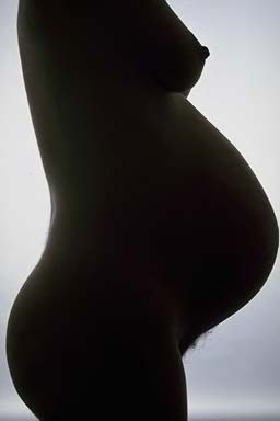 Беременность и почки: Как справиться? Видео. Беременность и почки: консультация специалиста