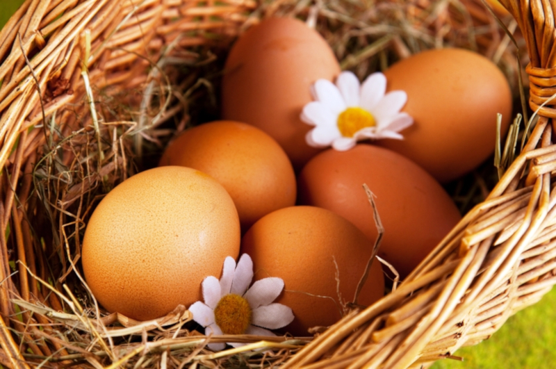 Исследователи: яйца - залог здоровья глаз. медицина, здоровье, зрение, яйца