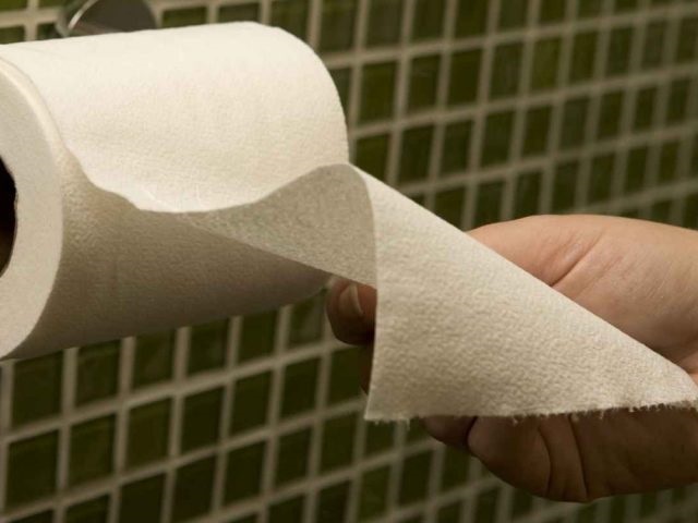 Западные ученые: туалетная бумага опасна для здоровья. 15393.jpeg