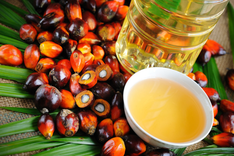 Россельхознадзор назвал продукты с техническим пальмовым маслом. медицина, здоровье, продукты, питание, пальмовое масло, Россельхознадзор