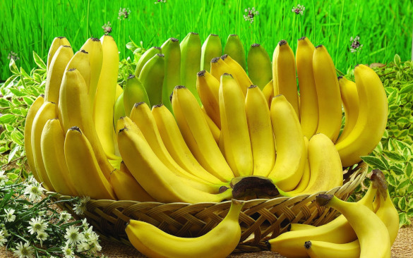 Полезные свойства стебля банана. 16452.jpeg