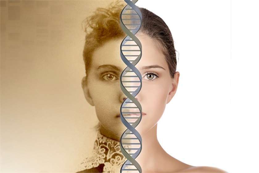 Генетическая память: ДНК родителей передает информацию всего рода. 15582.jpeg