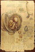 Покупать или нет: ЭКО и торговля эмбрионами. 8612.jpeg