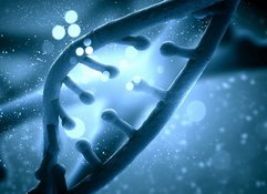 Нашу смерть могут предсказать ДНК, тесты и друзья. генетика