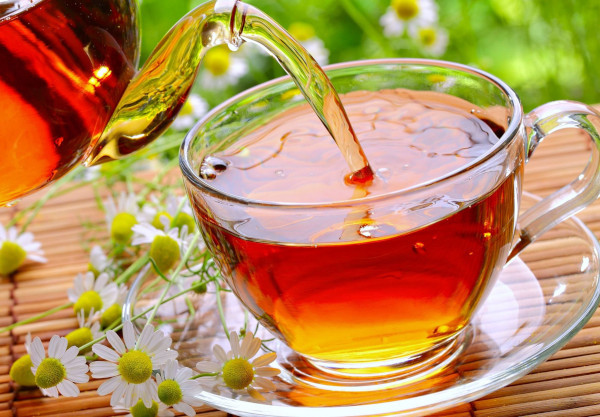 Ученые: Чай улучшает здоровье мозга. медицина, здоровье, мозг, чай