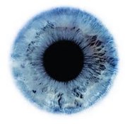 Терапия стволовыми клетками может вернуть зрение?. зрение