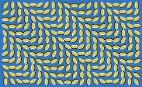Оптические иллюзии расскажут о мозге. мозг