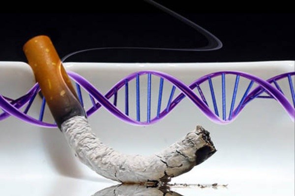 Опасность никотина: влияние на ДНК. 16815.jpeg