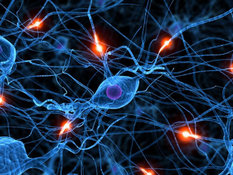 В С-Петербурге обсудили "Инновации в клинической неврологии". неврология