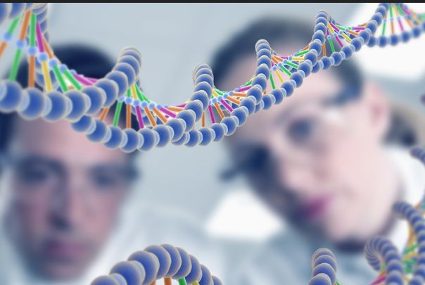 Расшифровка генома будущего ребенка: кому и зачем?. геном