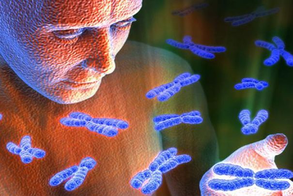 Ученые разработали спецдиагностику наследственных заболеваний. генетика