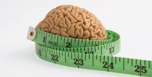 Особый тип ожирения приводит к усыханию мозга, открыли неврологи. 16995.jpeg