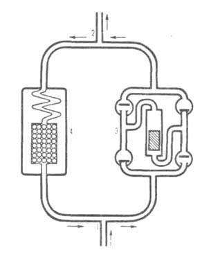 https://www.medpulse.ru/image/encyclopedia/0/0/0/3000.jpeg