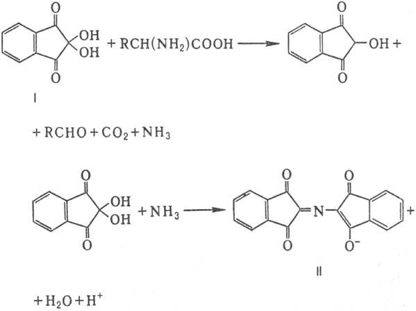 https://www.medpulse.ru/image/encyclopedia/0/0/0/9000.jpeg