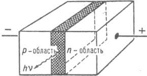 https://www.medpulse.ru/image/encyclopedia/0/2/9/8029.jpeg