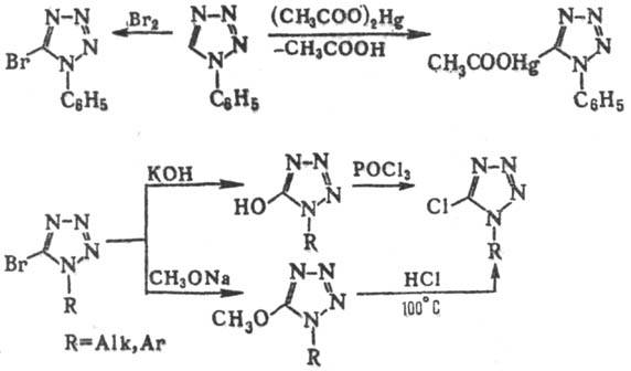 https://www.medpulse.ru/image/encyclopedia/0/3/4/14034.jpeg