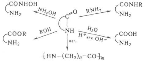 https://www.medpulse.ru/image/encyclopedia/0/3/6/8036.jpeg