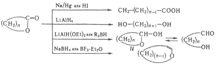 https://www.medpulse.ru/image/encyclopedia/0/5/2/8052.jpeg