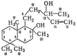 https://www.medpulse.ru/image/encyclopedia/0/5/5/13055.jpeg