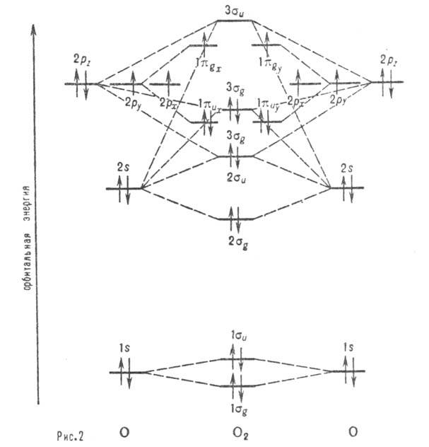 https://www.medpulse.ru/image/encyclopedia/0/5/6/10056.jpeg