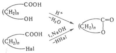 https://www.medpulse.ru/image/encyclopedia/0/5/8/8058.jpeg