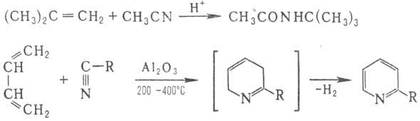 https://www.medpulse.ru/image/encyclopedia/0/5/9/9059.jpeg