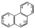 https://www.medpulse.ru/image/encyclopedia/0/6/0/15060.jpeg