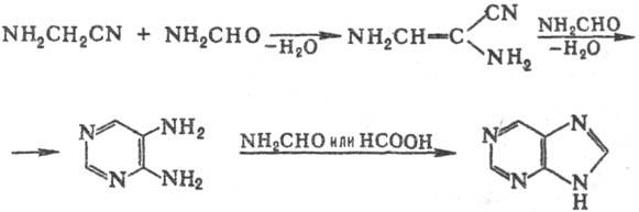 https://www.medpulse.ru/image/encyclopedia/0/6/3/12063.jpeg