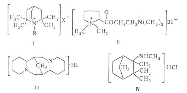 https://www.medpulse.ru/image/encyclopedia/0/7/2/5072.jpeg