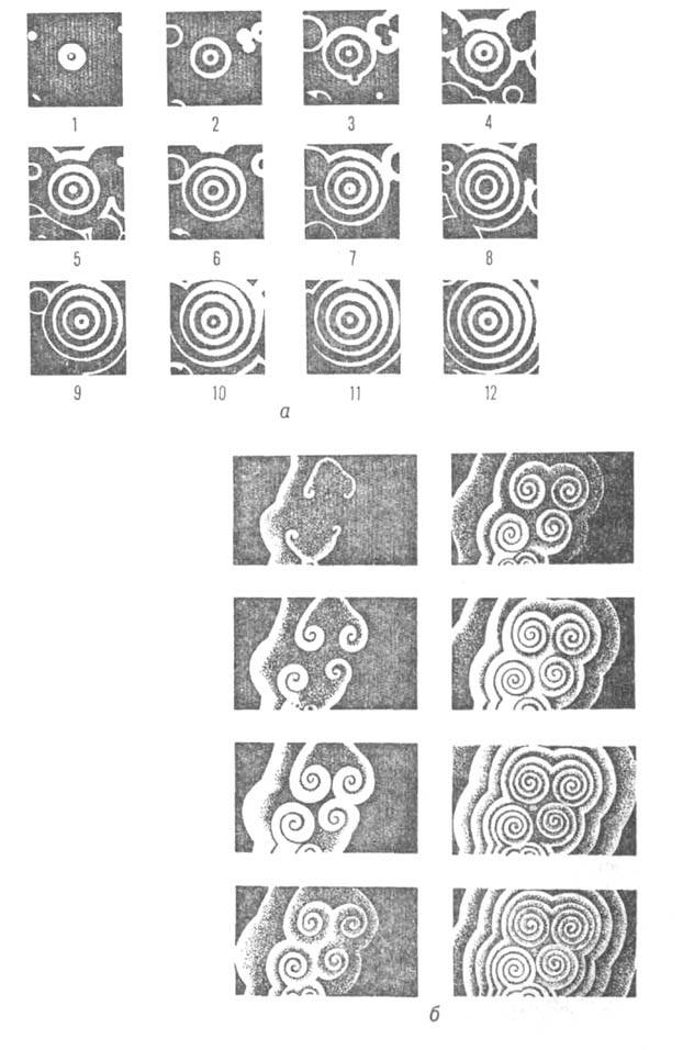 https://www.medpulse.ru/image/encyclopedia/0/7/6/3076.jpeg