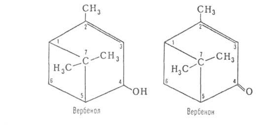 https://www.medpulse.ru/image/encyclopedia/0/7/6/4076.jpeg