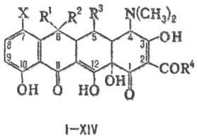 https://www.medpulse.ru/image/encyclopedia/0/8/8/14088.jpeg