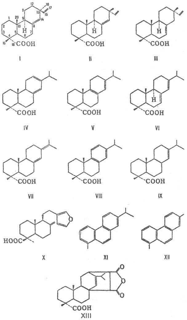 https://www.medpulse.ru/image/encyclopedia/1/0/1/13101.jpeg