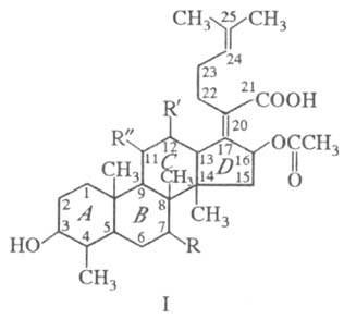 https://www.medpulse.ru/image/encyclopedia/1/0/7/16107.jpeg