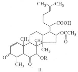 https://www.medpulse.ru/image/encyclopedia/1/0/8/16108.jpeg