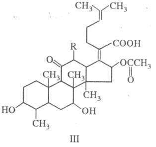 https://www.medpulse.ru/image/encyclopedia/1/0/9/16109.jpeg